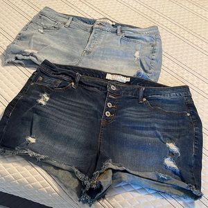 Torrid Shorts